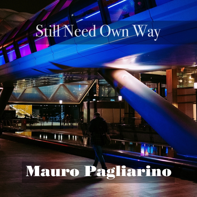 Couverture de Still Need Own Way