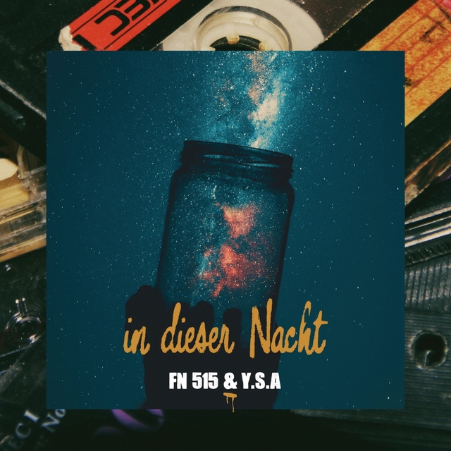 Couverture de In dieser Nacht