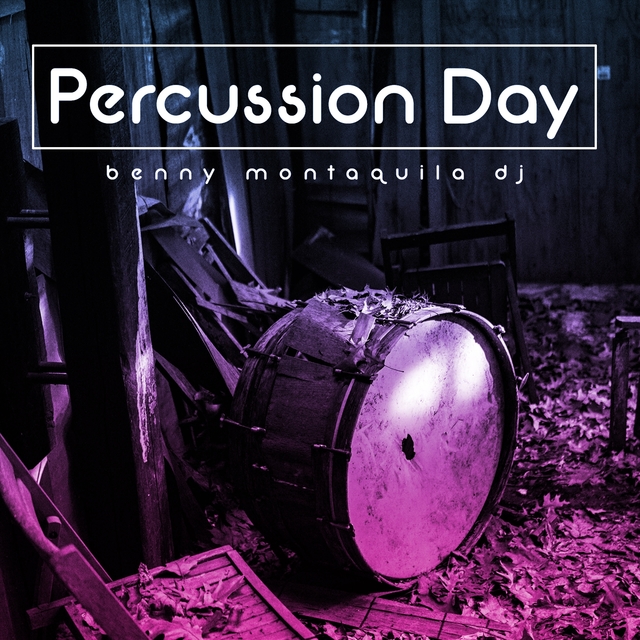 Couverture de Percussion Day