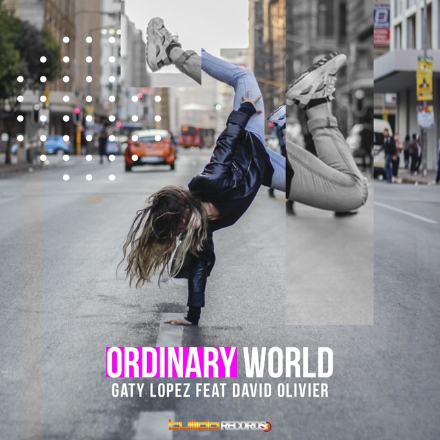 Couverture de Ordinary World