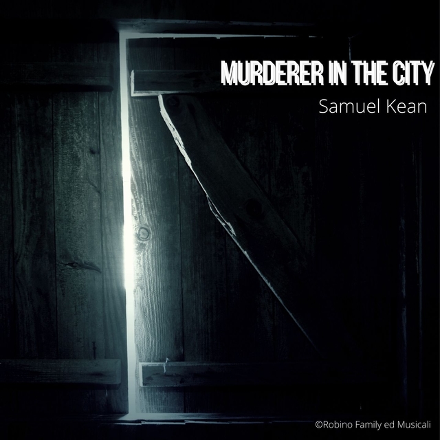 Couverture de Murderer in the city