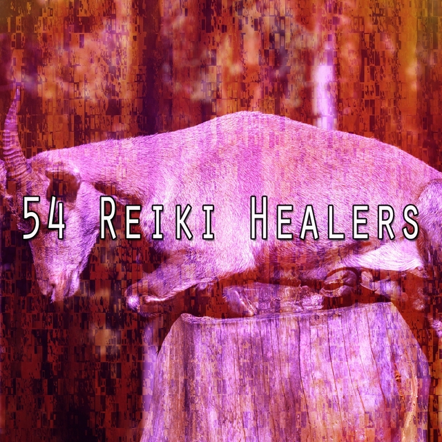 54 Reiki Healers