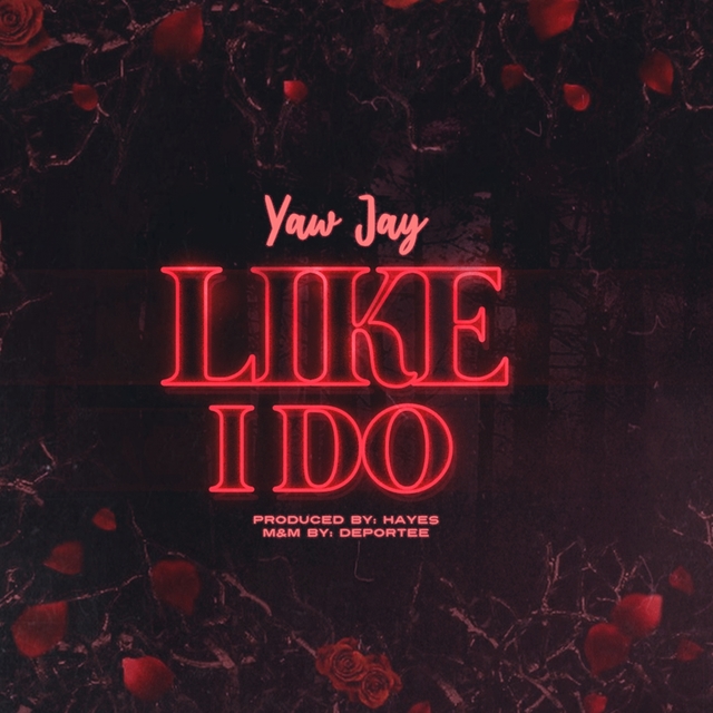 Couverture de Like I Do