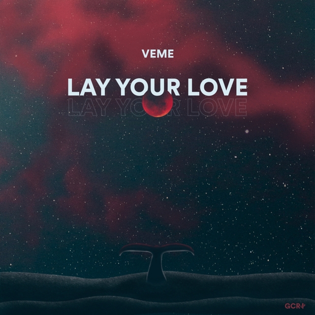 Couverture de Lay Your Love
