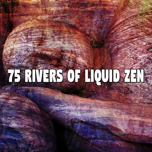 Couverture de 75 Rivers of Liquid Zen