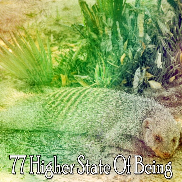 Couverture de 77 Higher State of Being