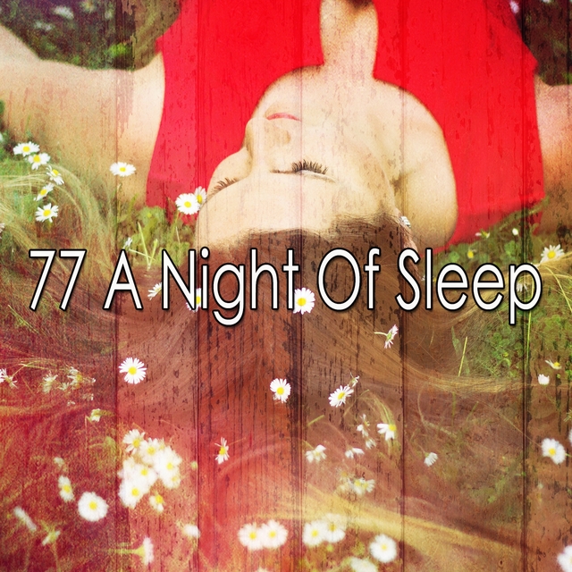 Couverture de 77 A Night of Sle - EP