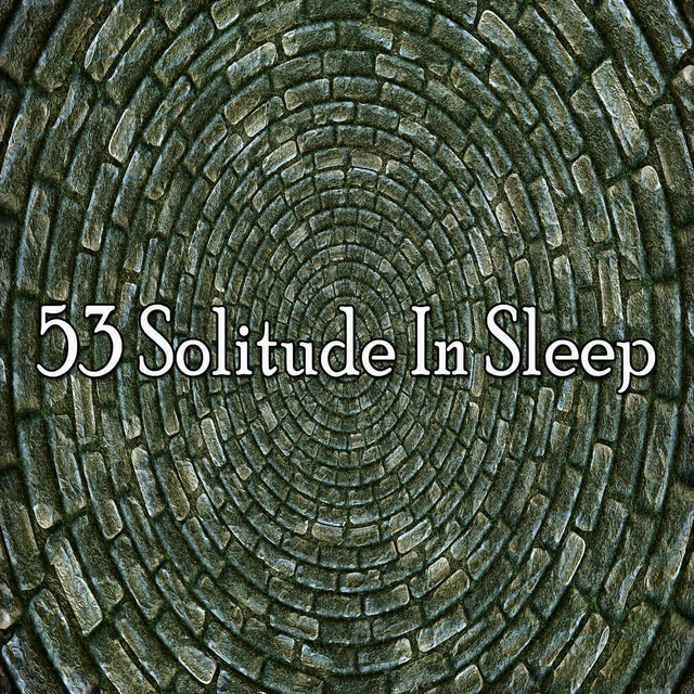 53 Solitude in Sle - EP