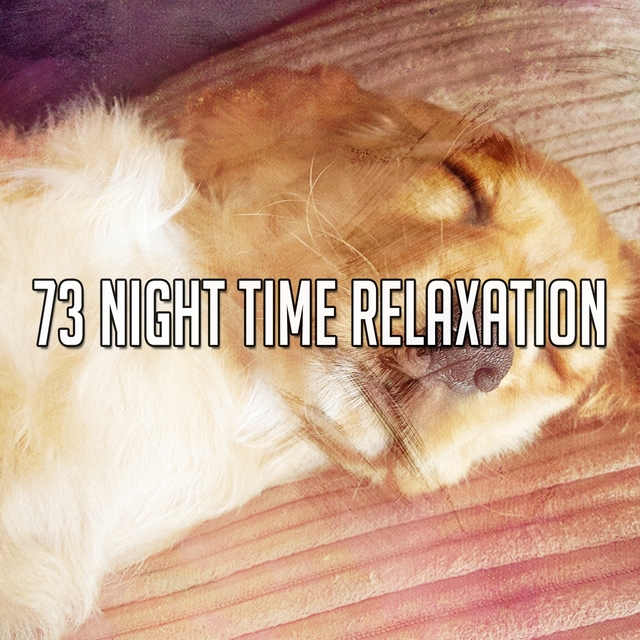 Couverture de 73 Night Time Relaxation