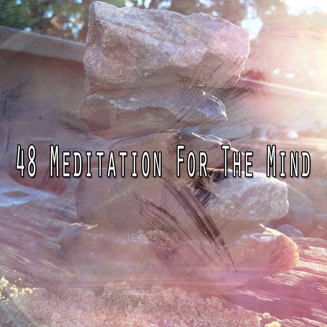 Couverture de 48 Meditation for the Mind