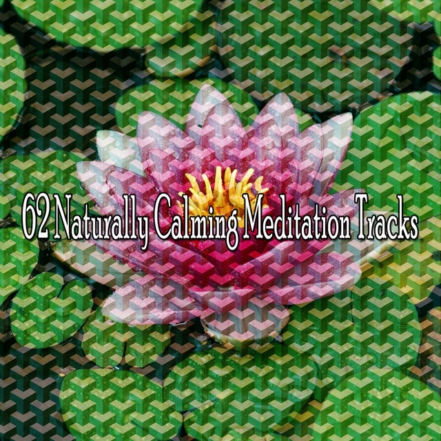 62 Naturally Calming Meditation Tracks