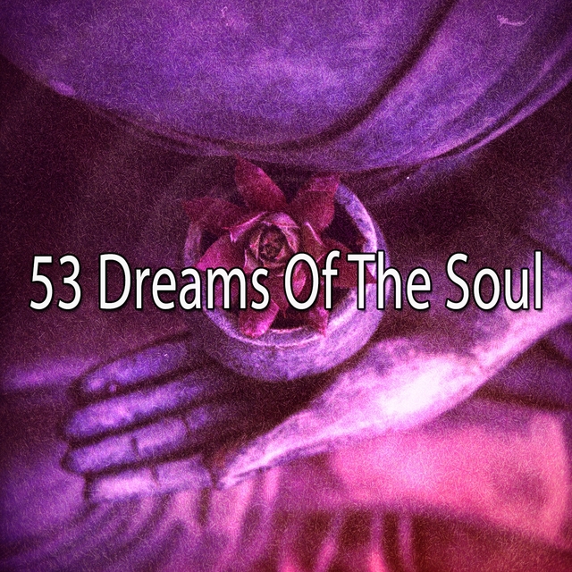 Couverture de 53 Dreams of the Soul