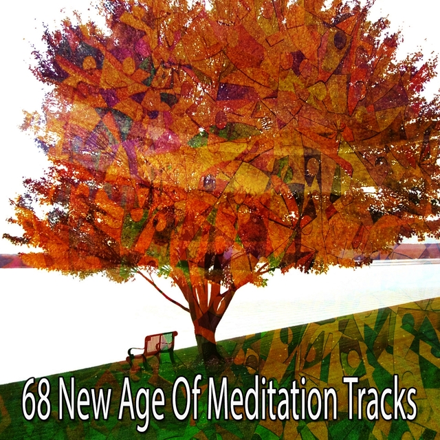 68 New Age of Meditation Tracks