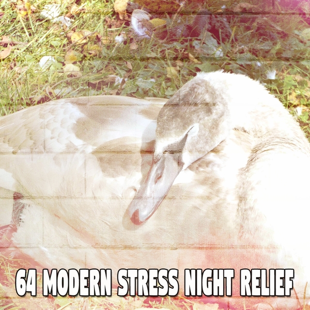 64 Modern Stress Night Relief