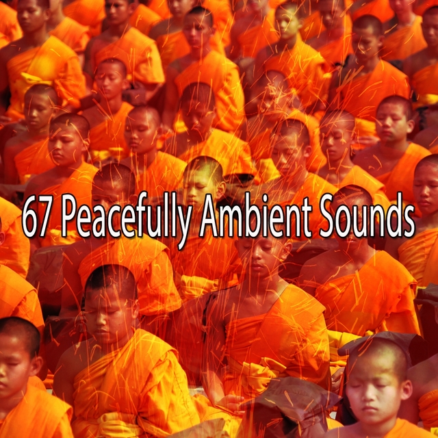 67 Peacefully Ambient Sounds