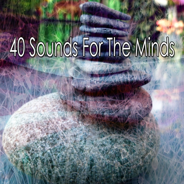 Couverture de 40 Sounds for the Minds