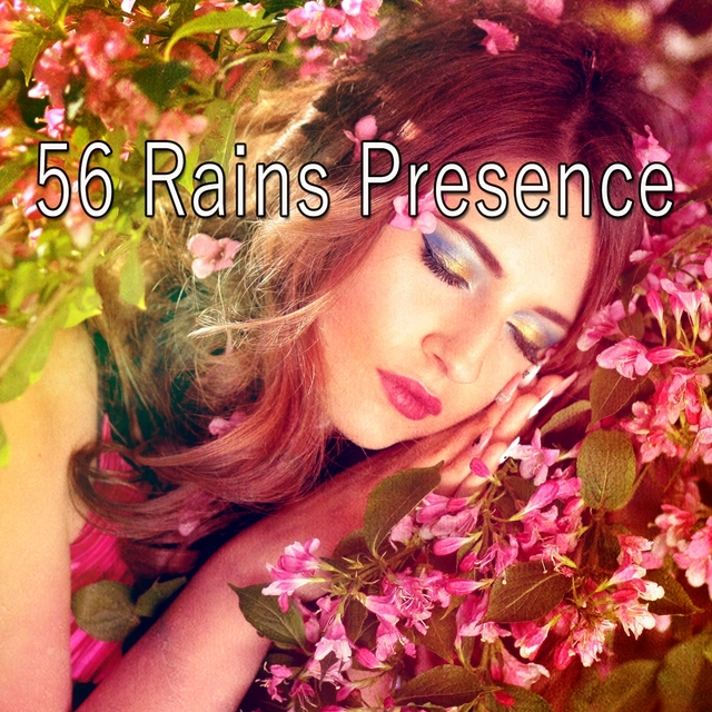 56 Rains Presence