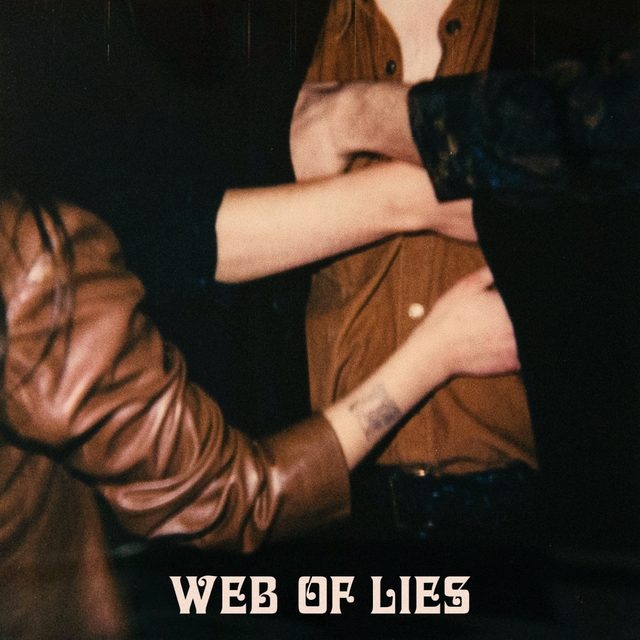 Couverture de Web of Lies