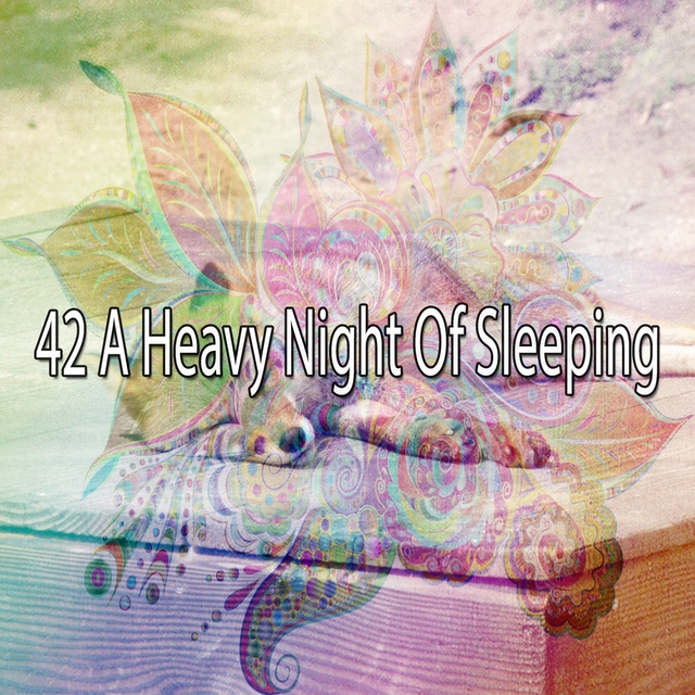 Couverture de 42 A Heavy Night of Sleeping