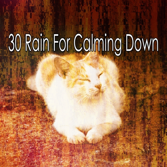 Couverture de 30 Rain for Calming Down