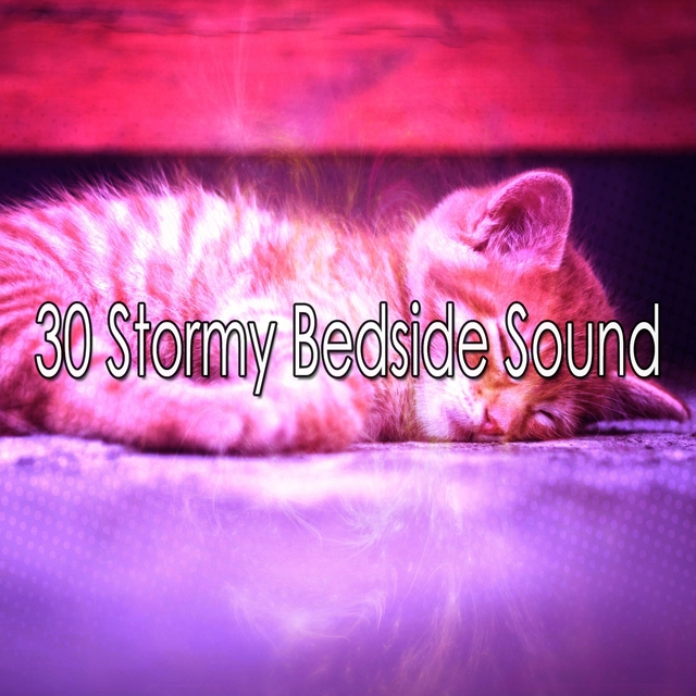 Couverture de 30 Stormy Bedside Sound