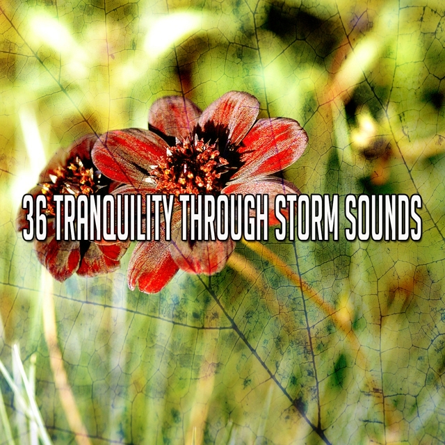 Couverture de 36 Tranquility Through Storm Sounds