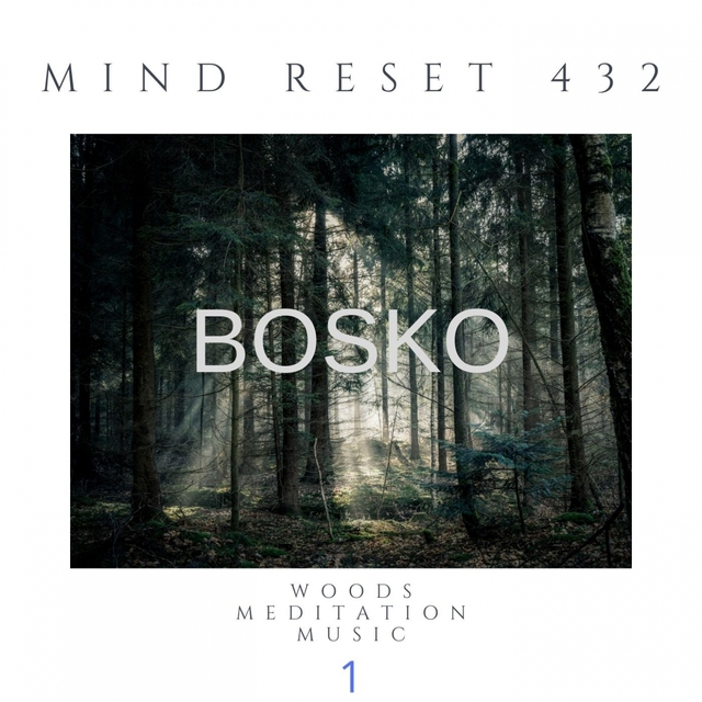 BOSKO Woods meditation music