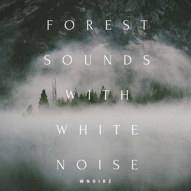 Forest Sounds with White Noise