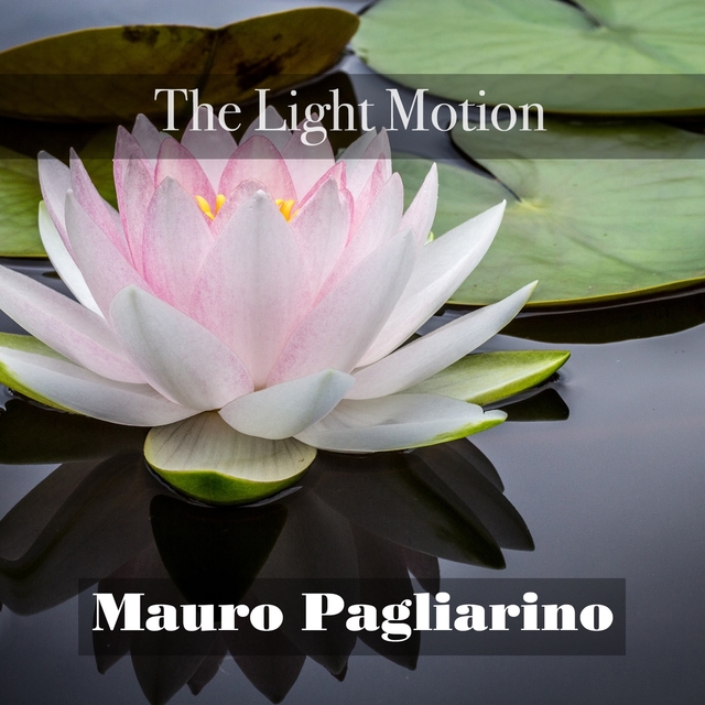 Couverture de The Light Motion