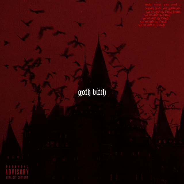 Couverture de Goth Bitch