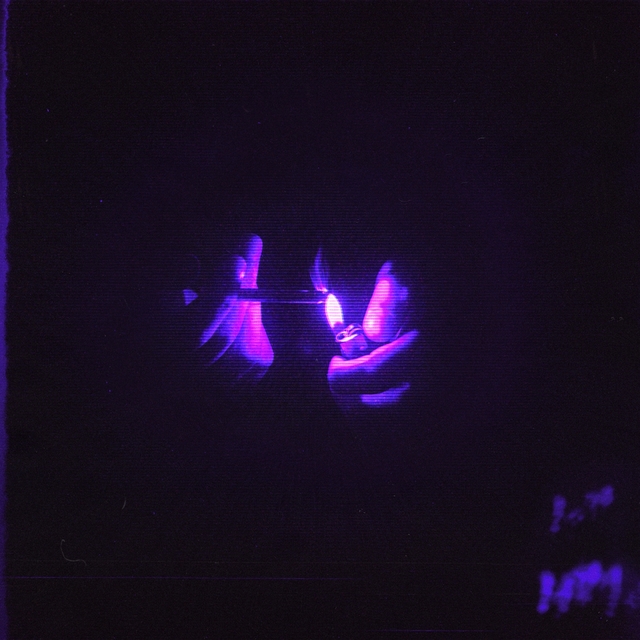 Couverture de Purple Light