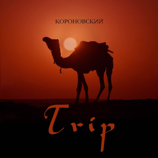 Couverture de Trip