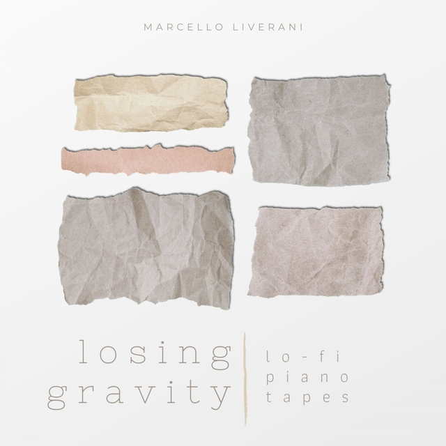 Couverture de Losing Gravity