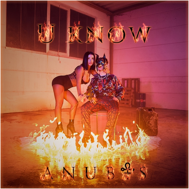 Couverture de U Know