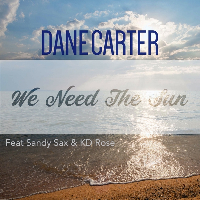 Couverture de We Need the Sun