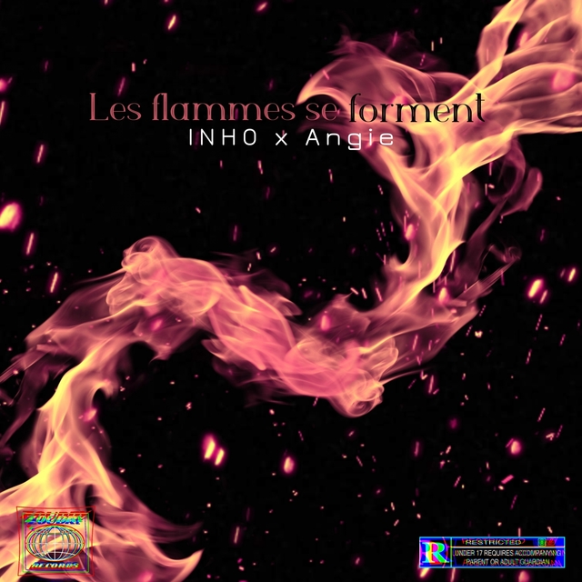 Couverture de Les flammes se forment