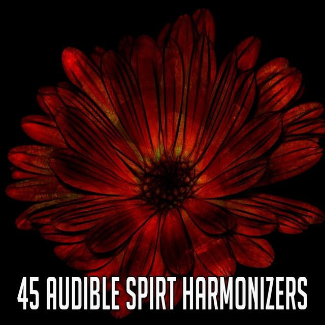 45 Audible Spirt Harmonizers