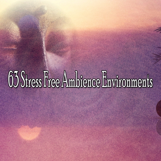 Couverture de 63 Stress Free Ambience Environments