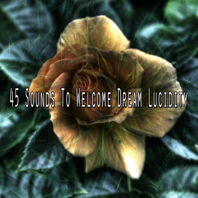 45 Sounds to Welcome Dream Lucidity