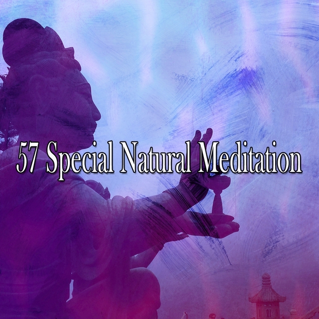 Couverture de 57 Special Natural Meditation