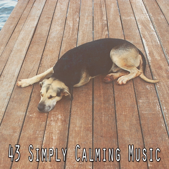 Couverture de 43 Simply Calming Music