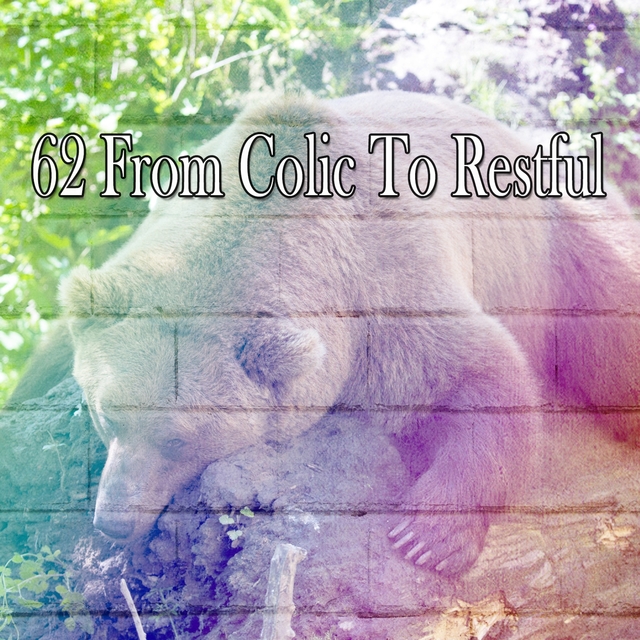 62 From Colic to Restful