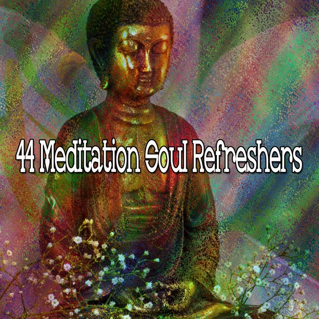 44 Meditation Soul Refreshers