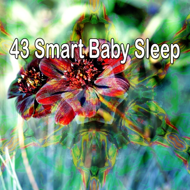 Couverture de 43 Smart Baby Sle - EP