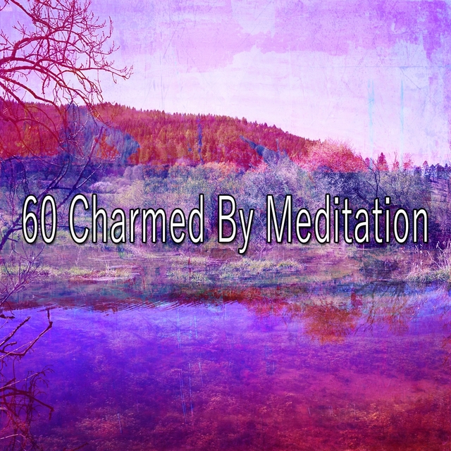 60 Charmed by Meditation