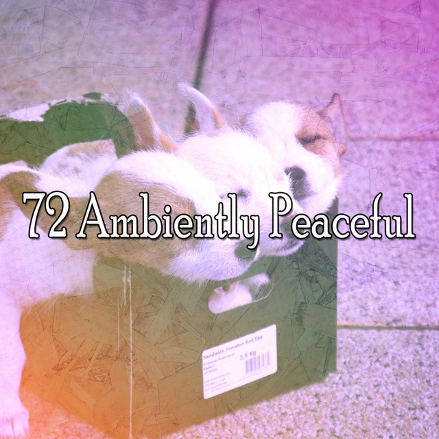 72 Ambiently Peaceful