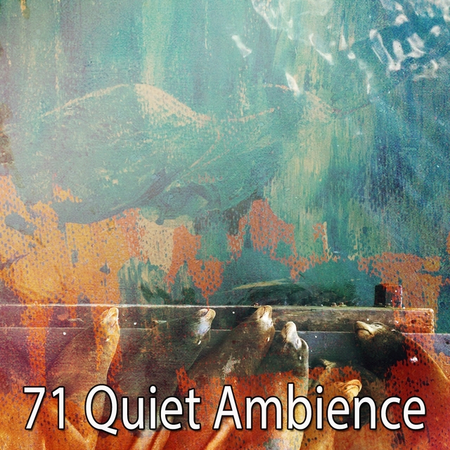 71 Quiet Ambience