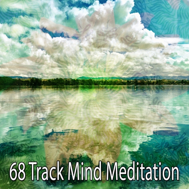Couverture de 68 Track Mind Meditation