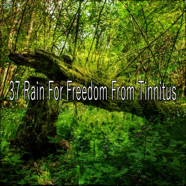 Couverture de 37 Rain for Freedom from Tinnitus