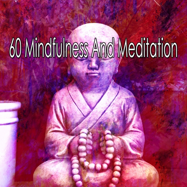 60 Mindfulness and Meditation